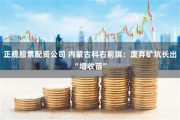 正规股票配资公司 内蒙古科右前旗：废弃矿坑长出“增收苗”