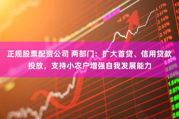 正规股票配资公司 两部门：扩大首贷、信用贷款投放，支持小农户增强自我发展能力