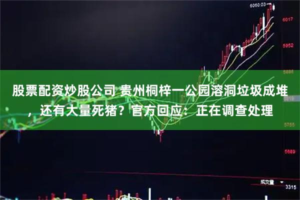 股票配资炒股公司 贵州桐梓一公园溶洞垃圾成堆,还有大量死猪?官方回应:正在调查处理